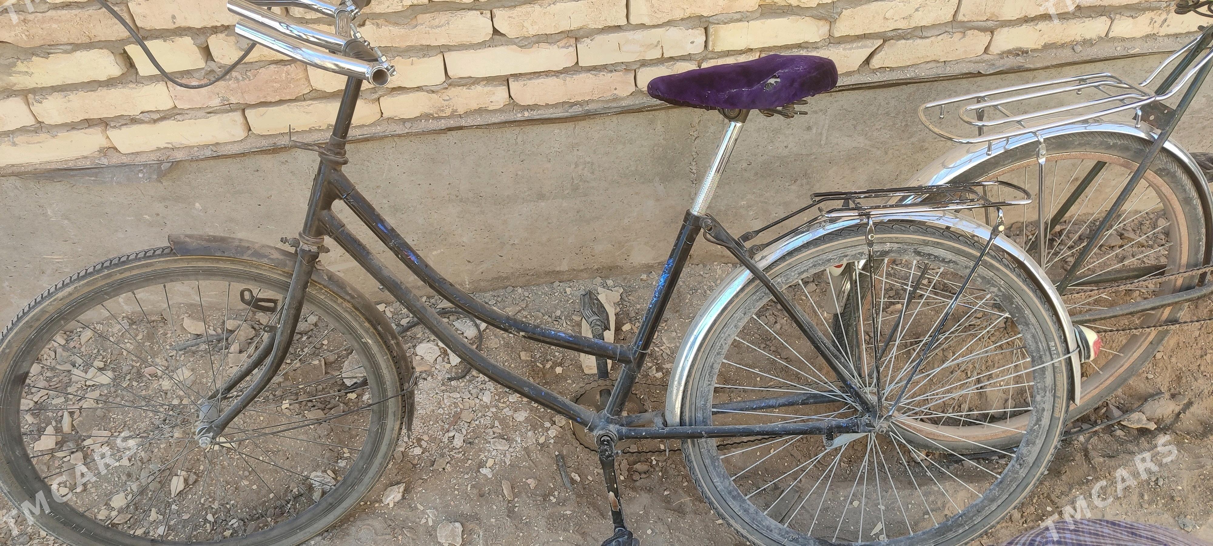 welik - Dänew - img 2