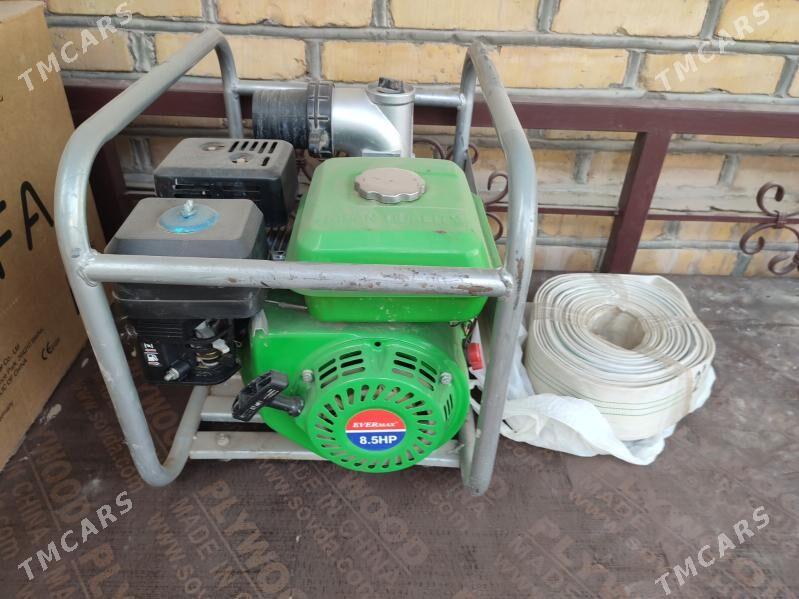 Сельское хозяйство - Дашогуз - img 1