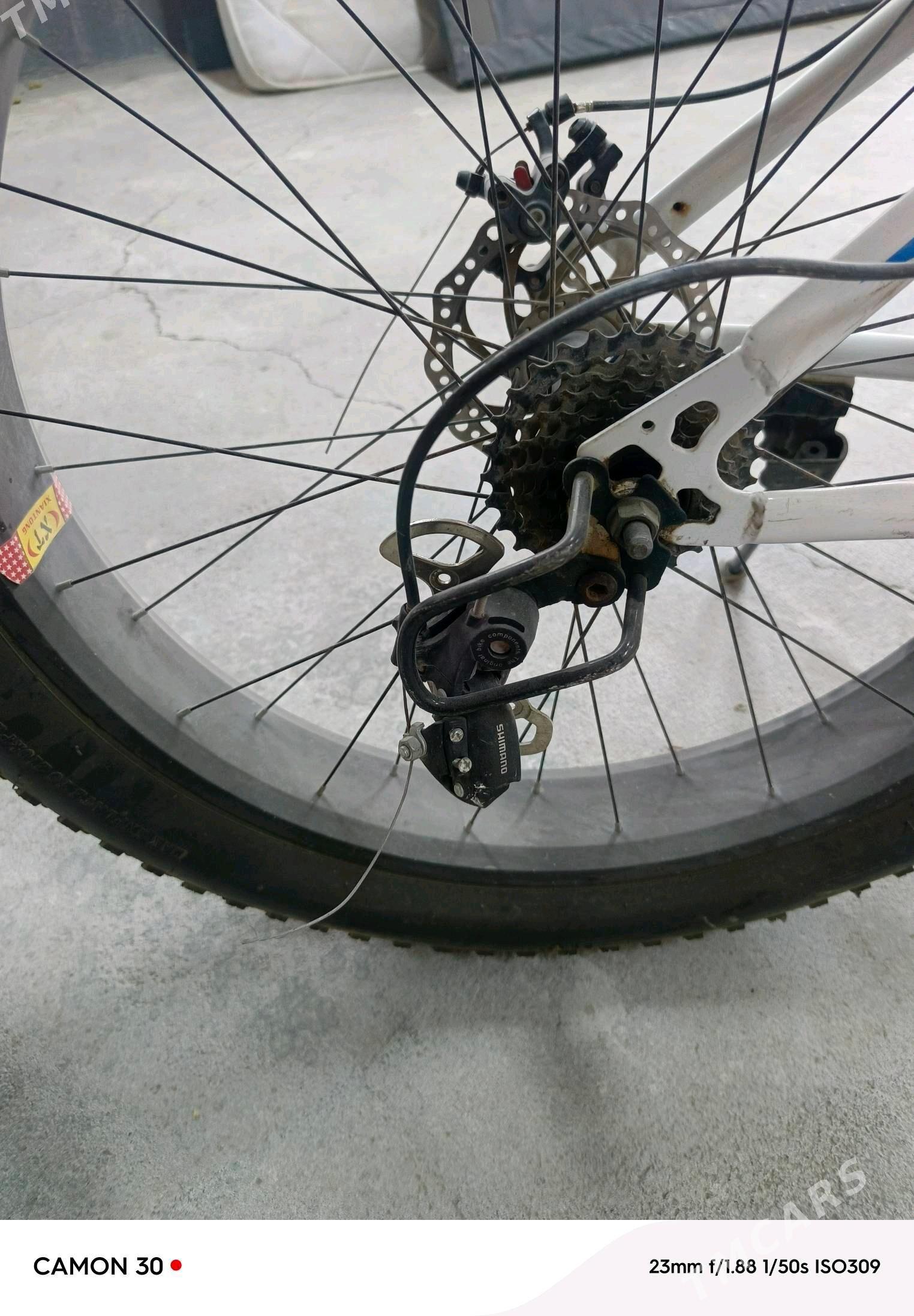 tigur - Gökdepe - img 2