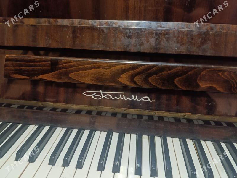 Piyanina - Aşgabat - img 2