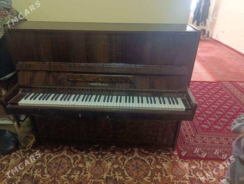 Piyanina - Aşgabat - img 1