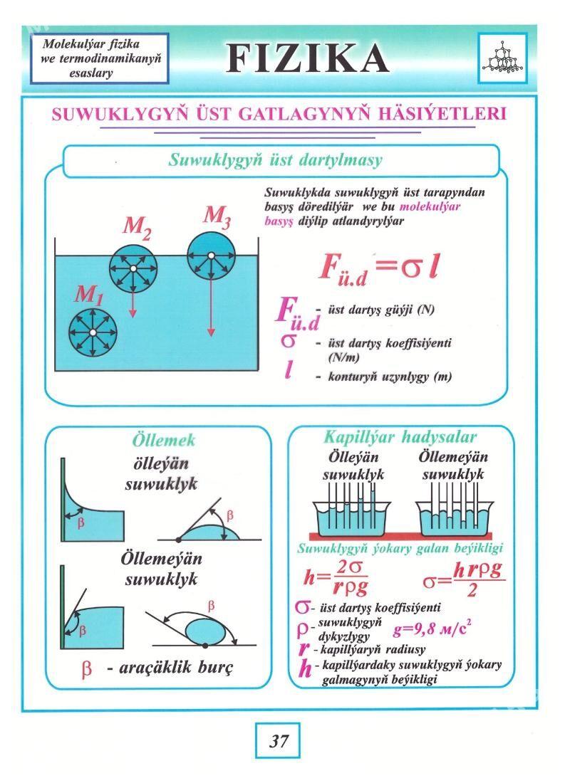 Görkezme esbaplar - Ашхабад - img 8