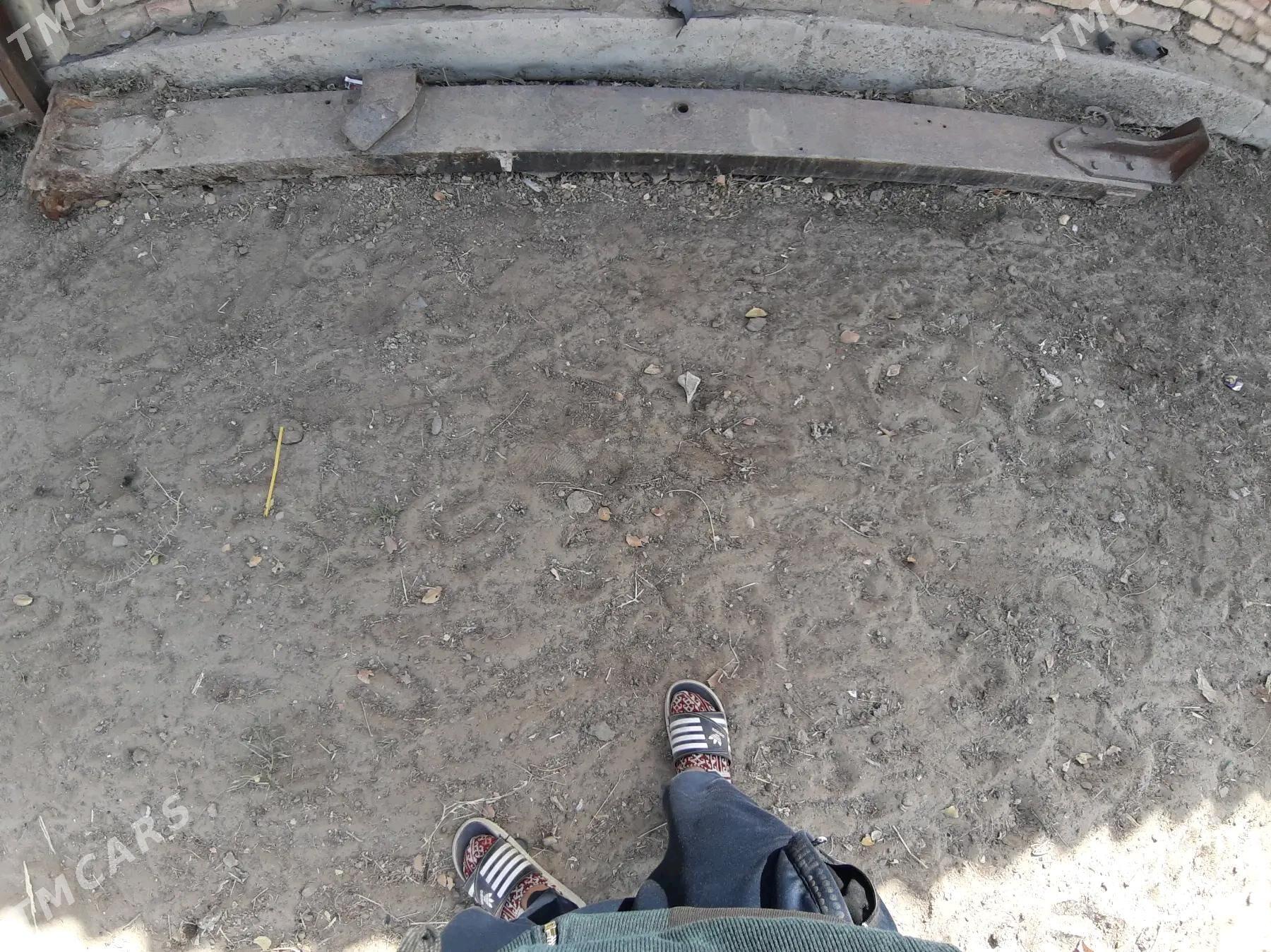 demir    rama - Sakarçäge - img 3