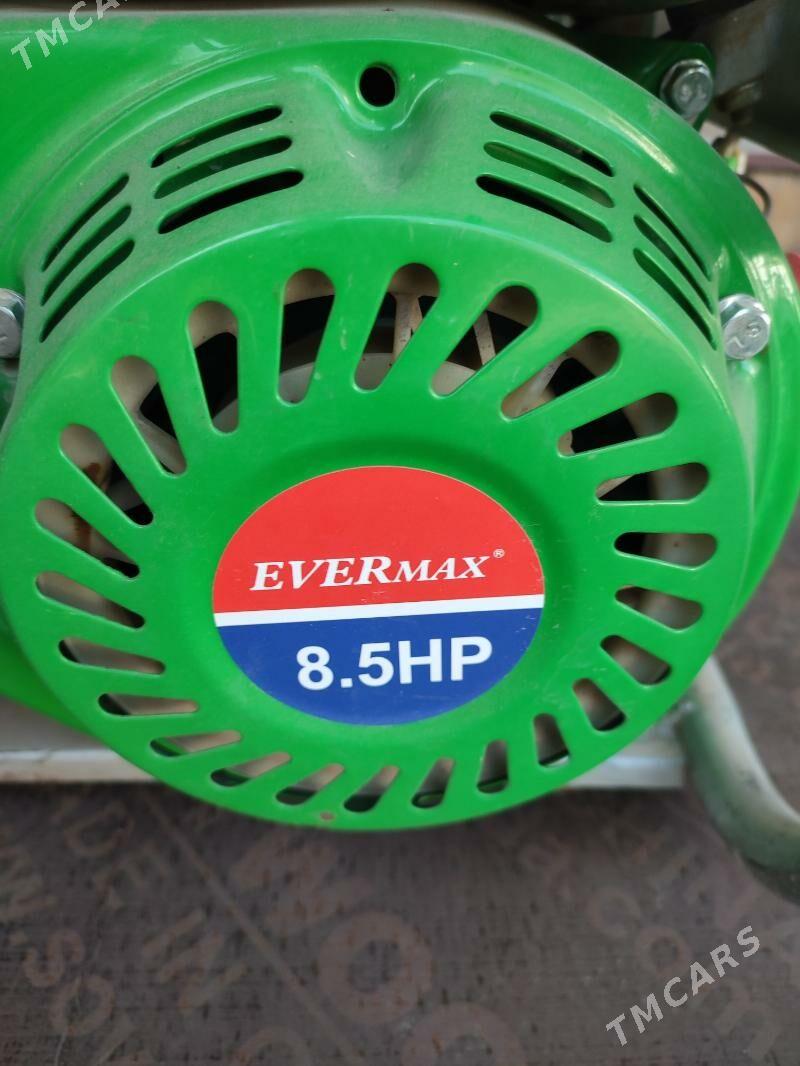 Сельское хозяйство - Дашогуз - img 5