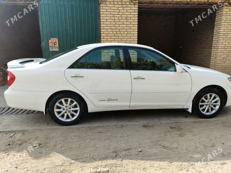 Toyota Camry 2004 - 175 000 TMT - Халач - img 5