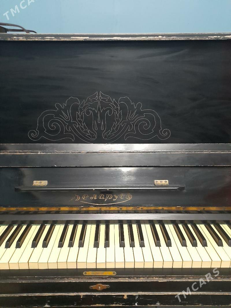 pianina - Ак-Бугдайский этрап - img 3