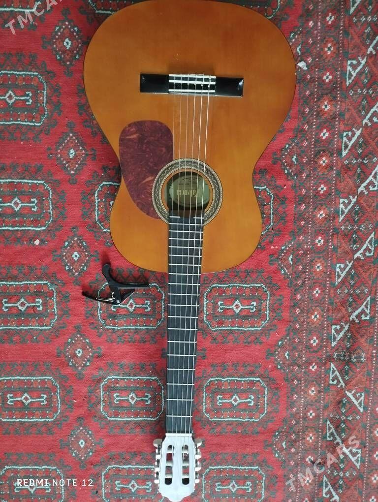 gytara velenza - Köşi - img 1