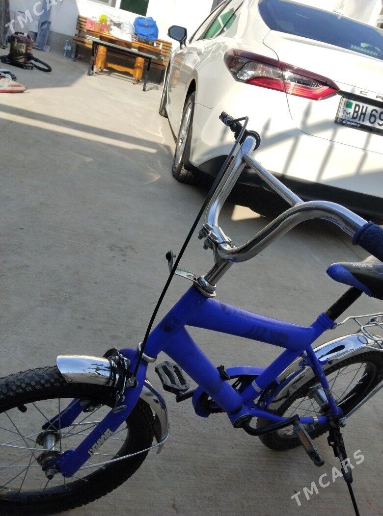 Велик тигир - Balkanabat - img 3