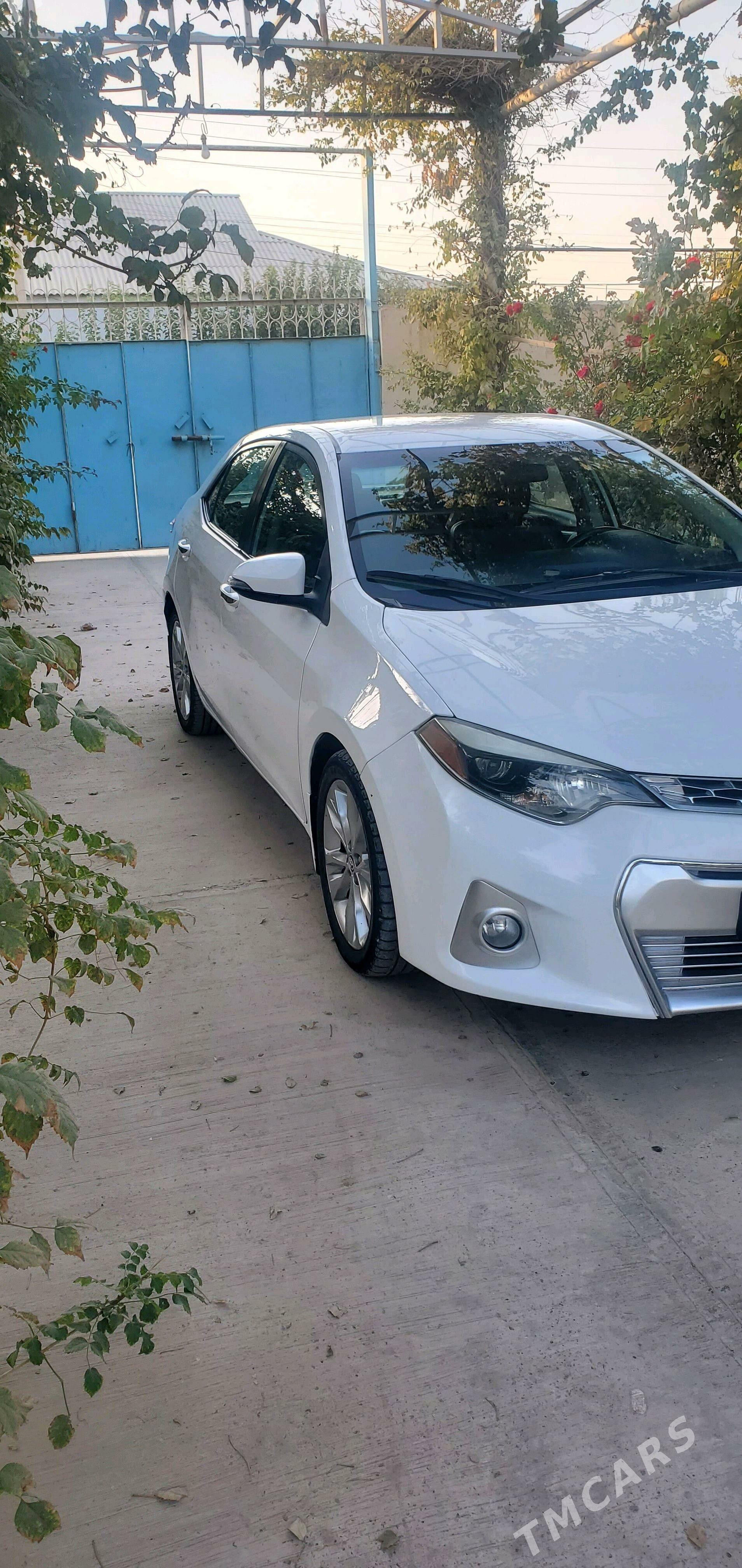 Toyota Corolla 2014 - 175 000 TMT - Теджен - img 1
