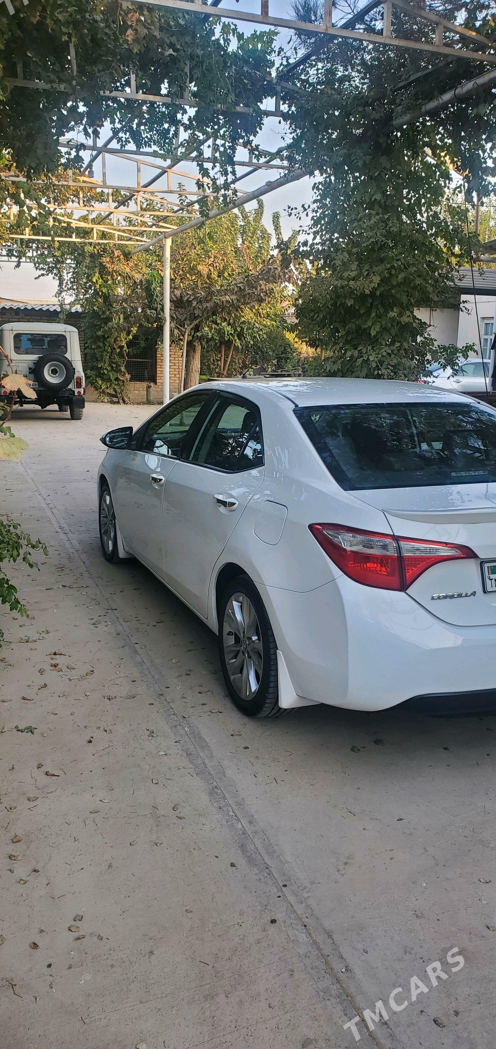 Toyota Corolla 2014 - 175 000 TMT - Теджен - img 2