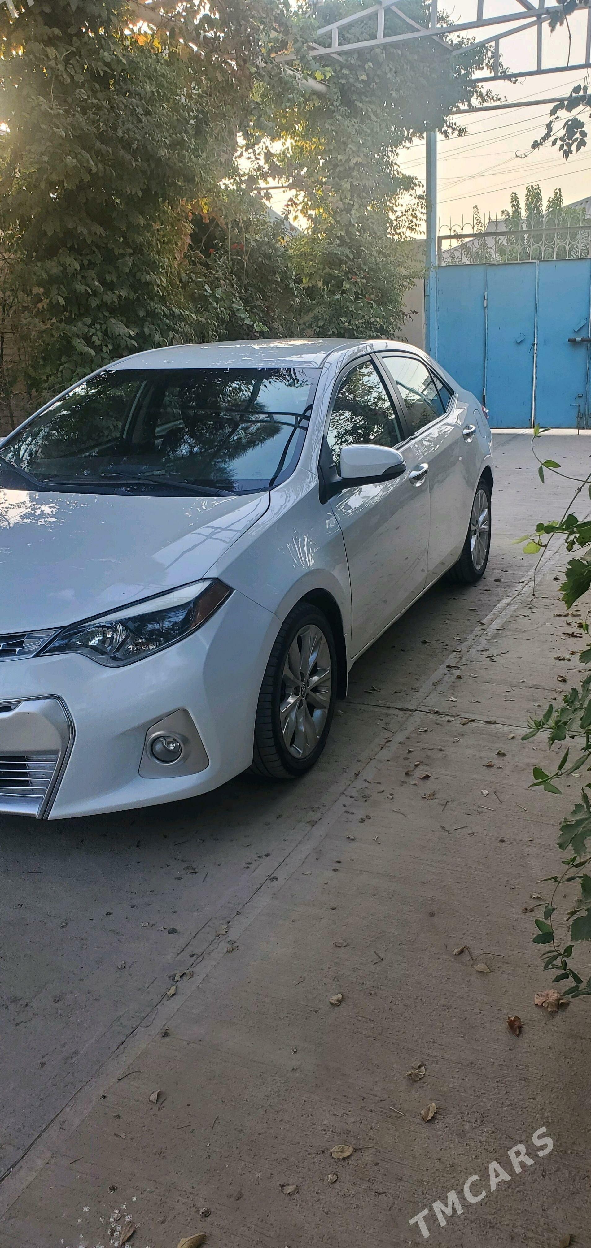 Toyota Corolla 2014 - 175 000 TMT - Теджен - img 4