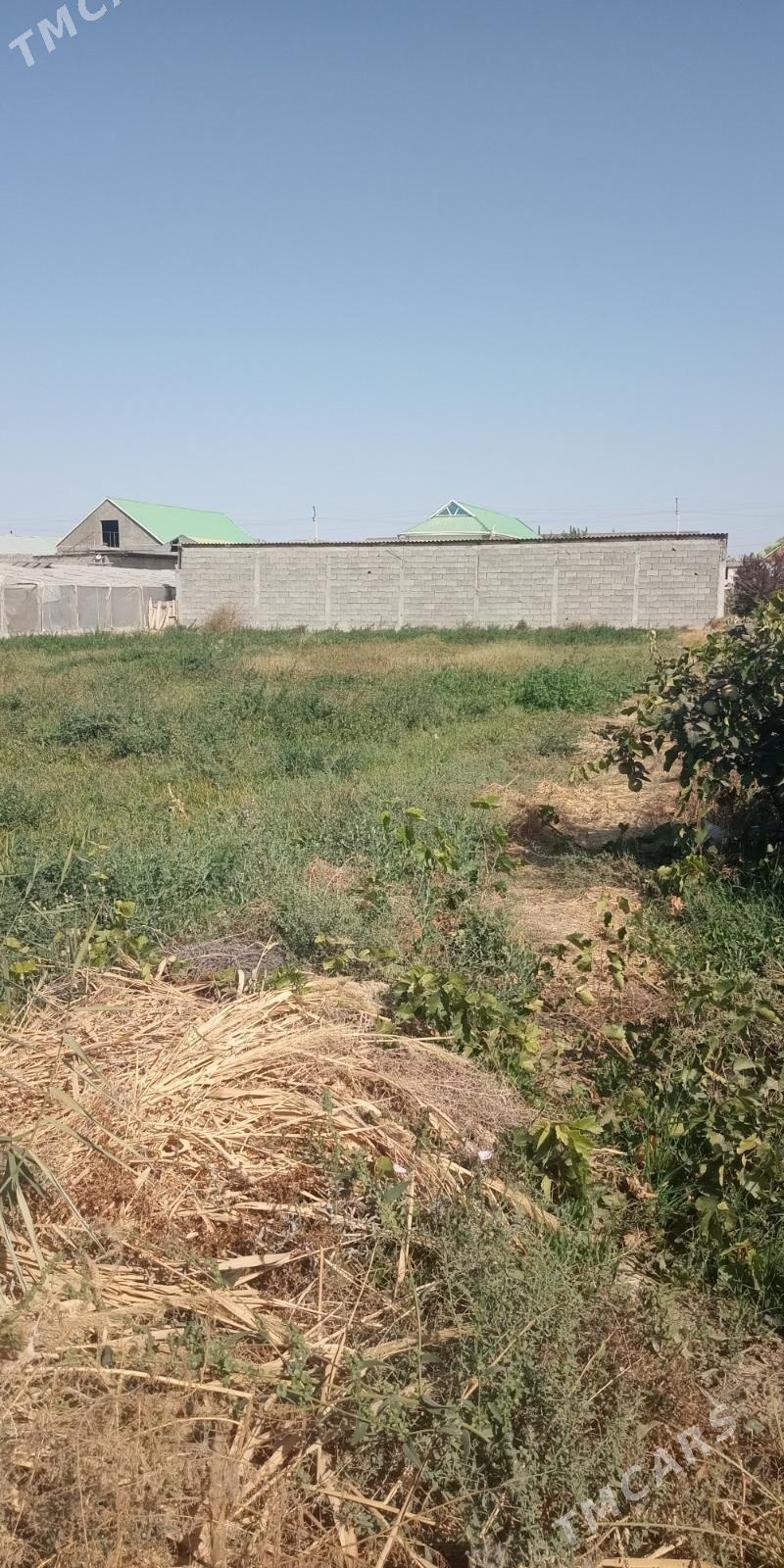 Mellek ýer - Aşgabat - img 3