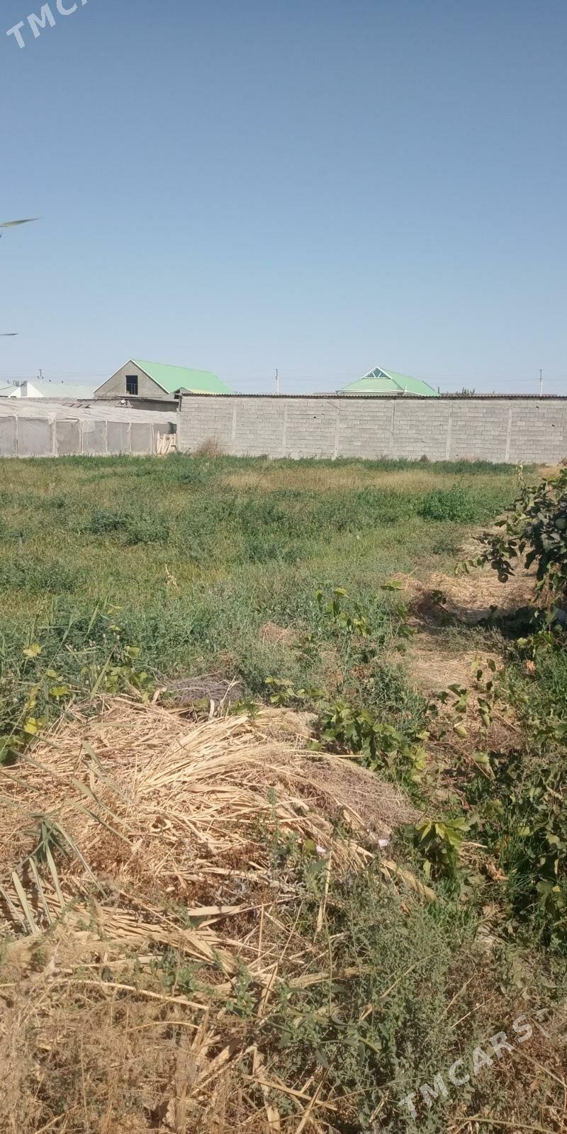 Mellek ýer - Aşgabat - img 1