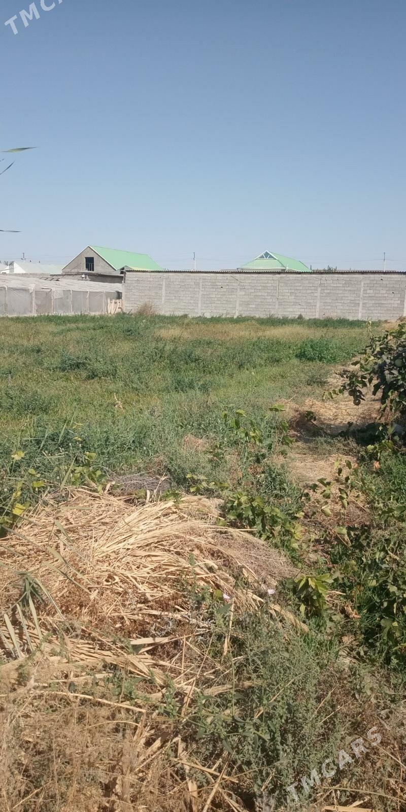 Mellek ýer - Aşgabat - img 2