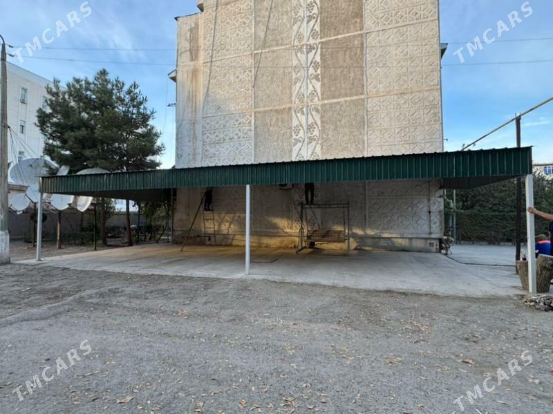 Nawes sifr ferma pro - Türkmenabat - img 3