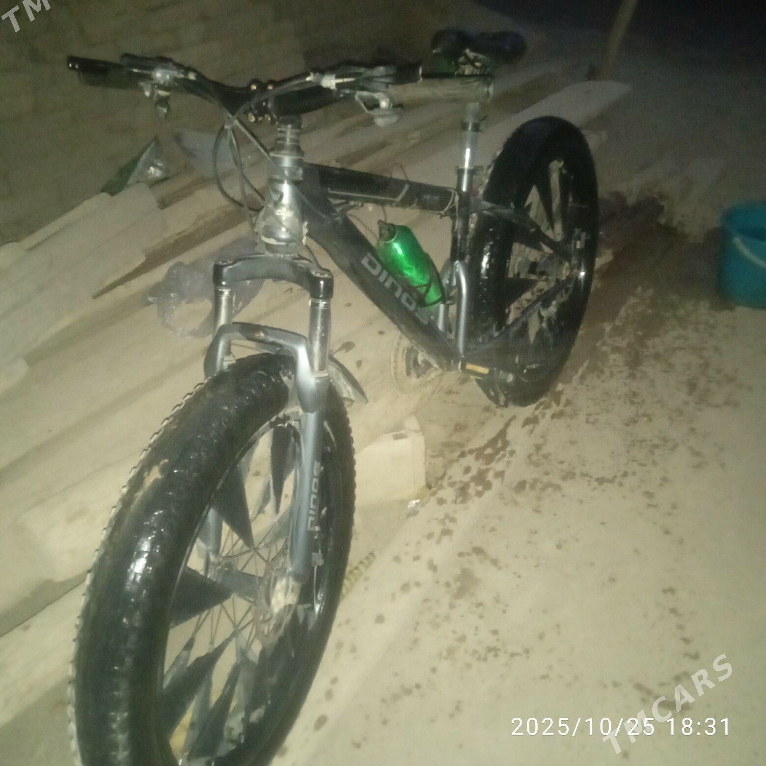 tigir - Дашогуз - img 3