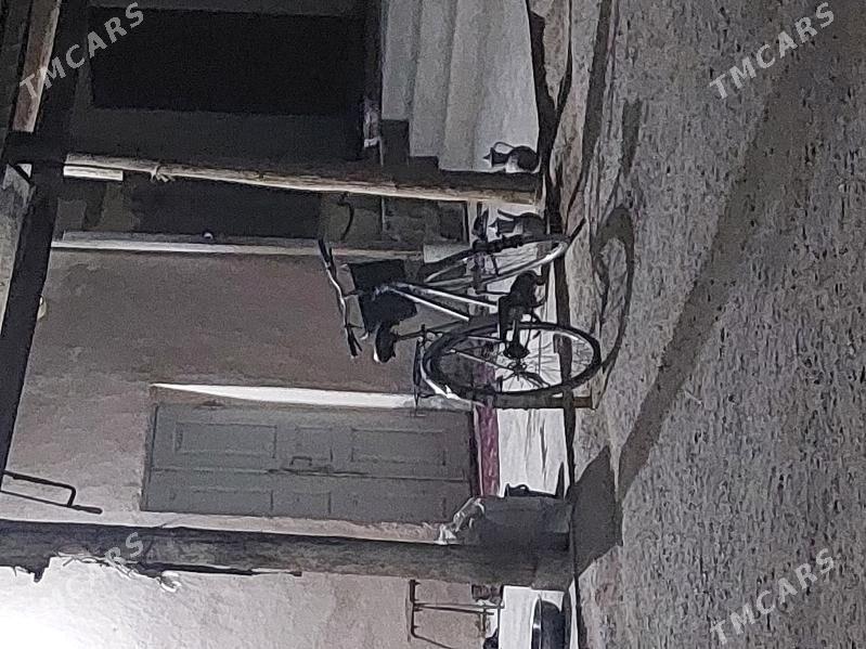 tigir - Gökdepe - img 2