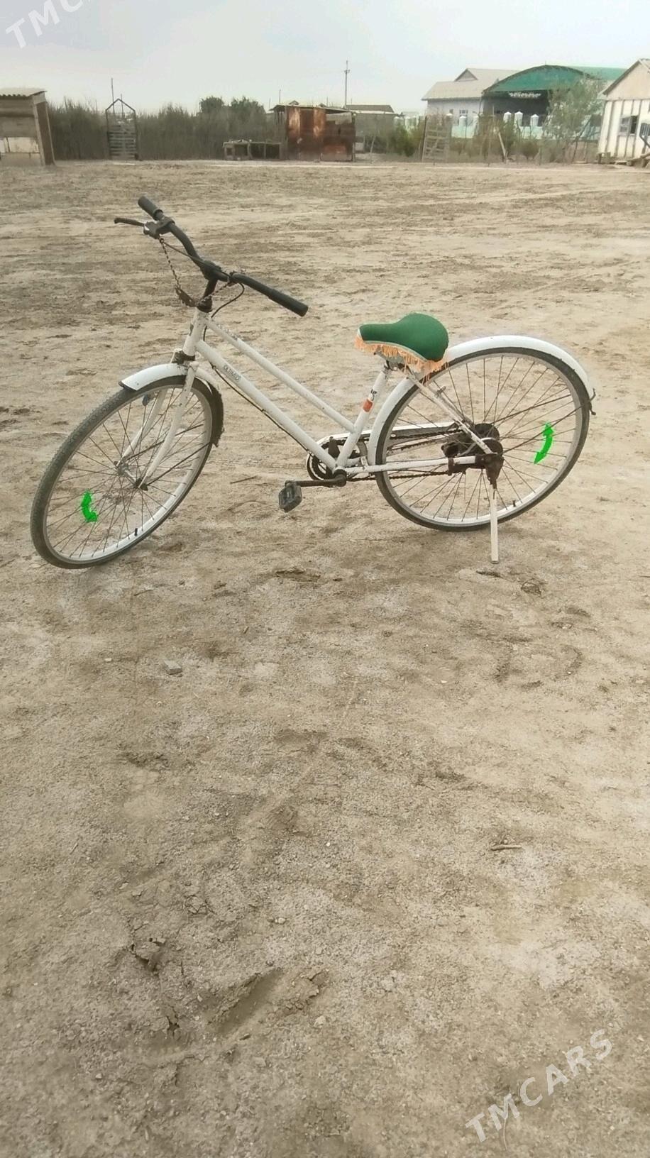 wellik - Esenguly - img 3