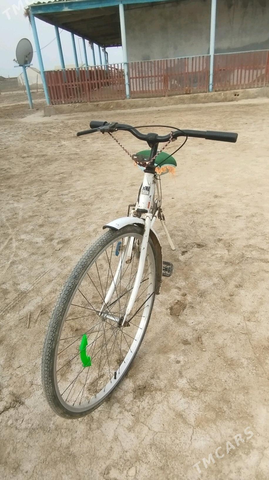 wellik - Esenguly - img 2