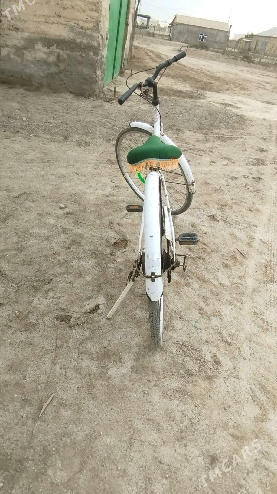 wellik - Esenguly - img 1