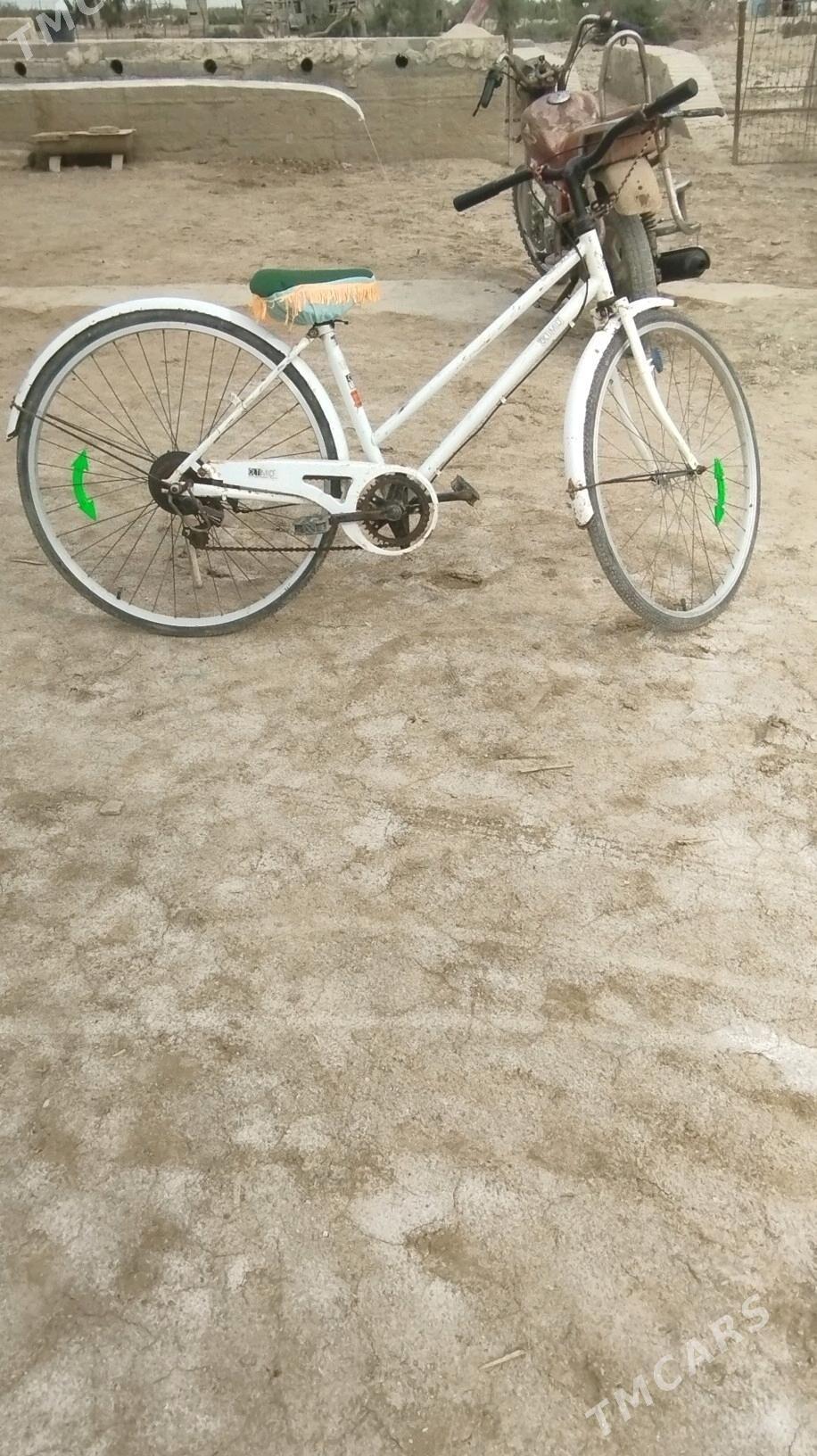 wellik - Esenguly - img 4