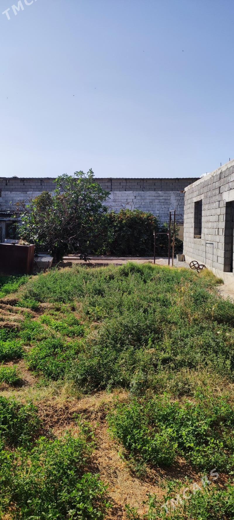 COGANLY ÝER - Çoganly - img 3