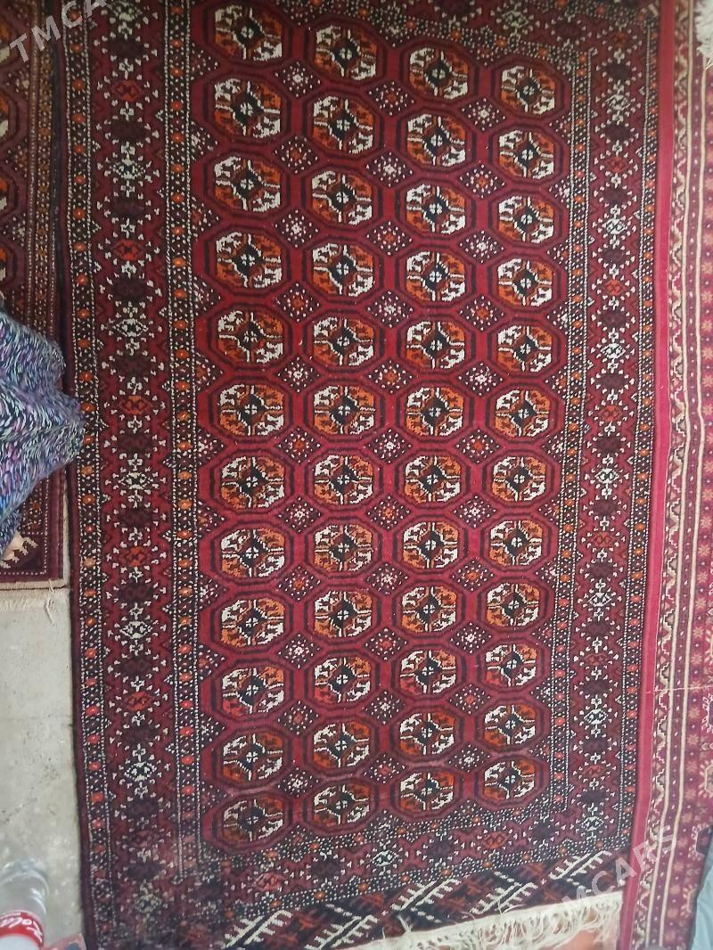 El haly - Gökdepe - img 2