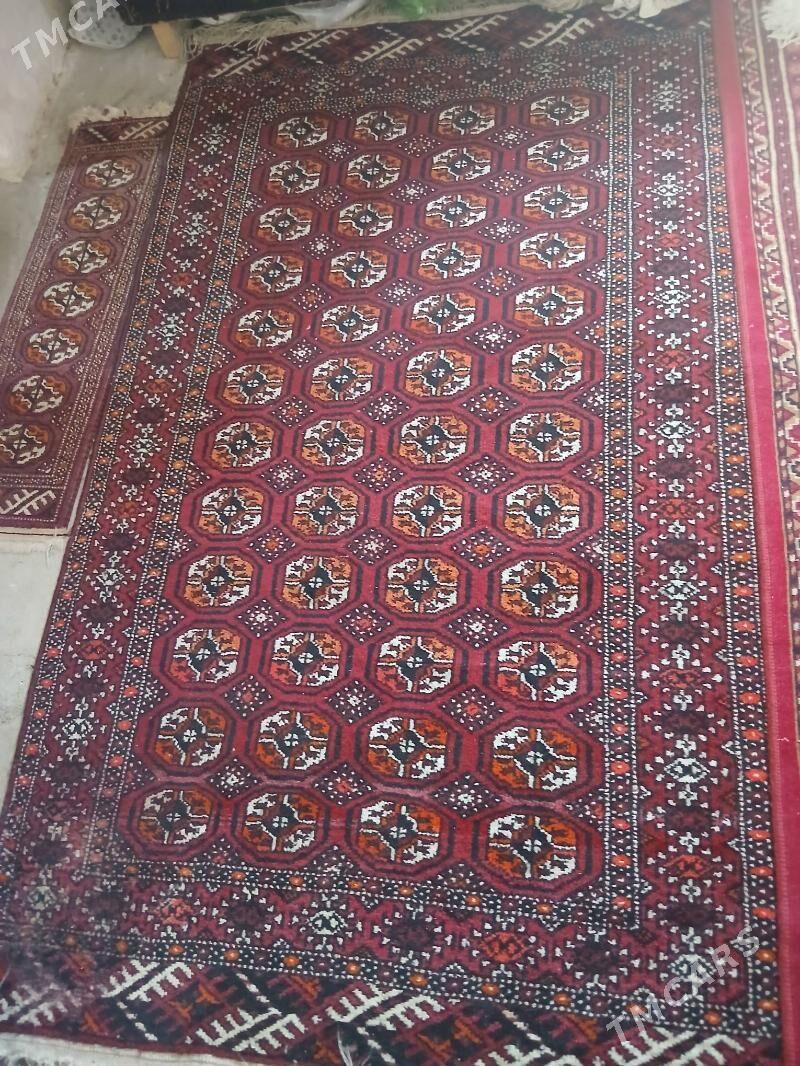 El haly - Gökdepe - img 1