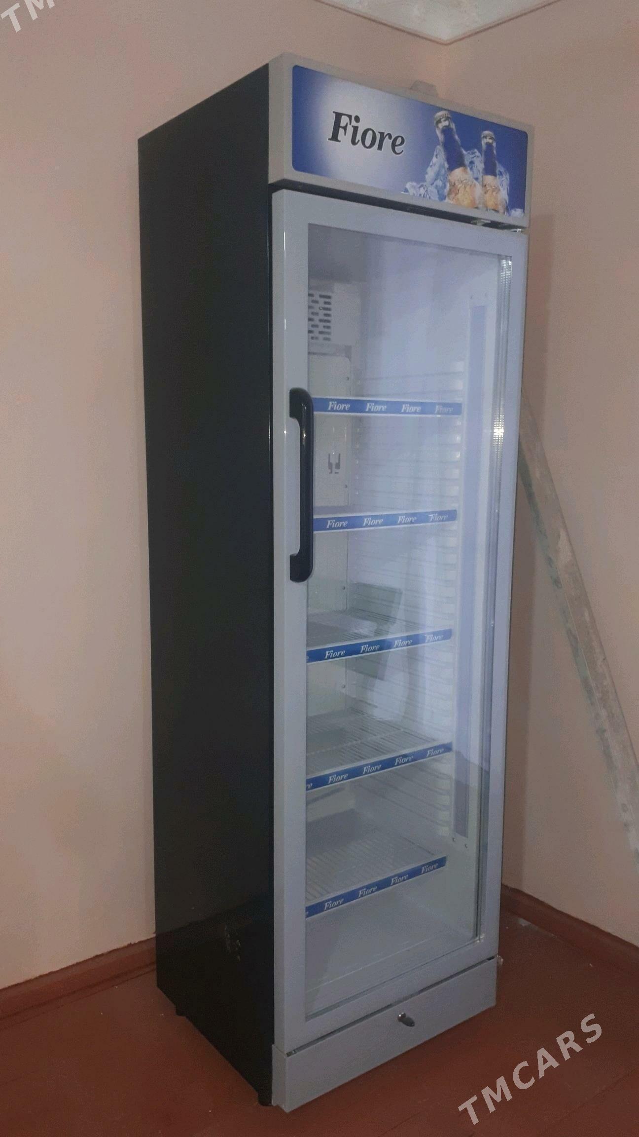 Holodilnik - Койтендаг - img 2