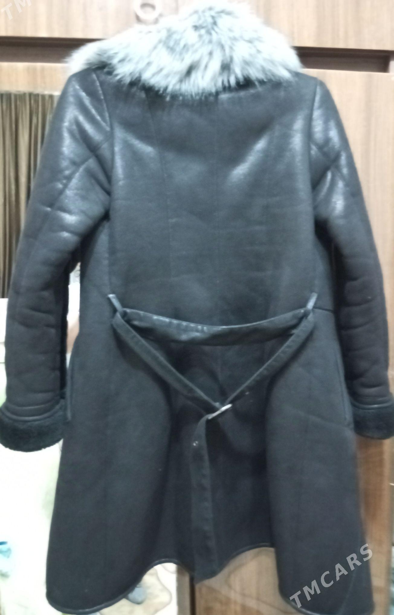 palto - Türkmenabat - img 2