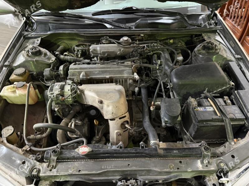 Toyota Camry 1998 - 130 000 TMT - Mary - img 9