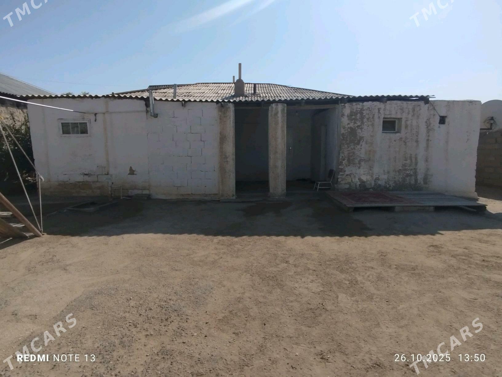 jaý Jebel - Джебел - img 2