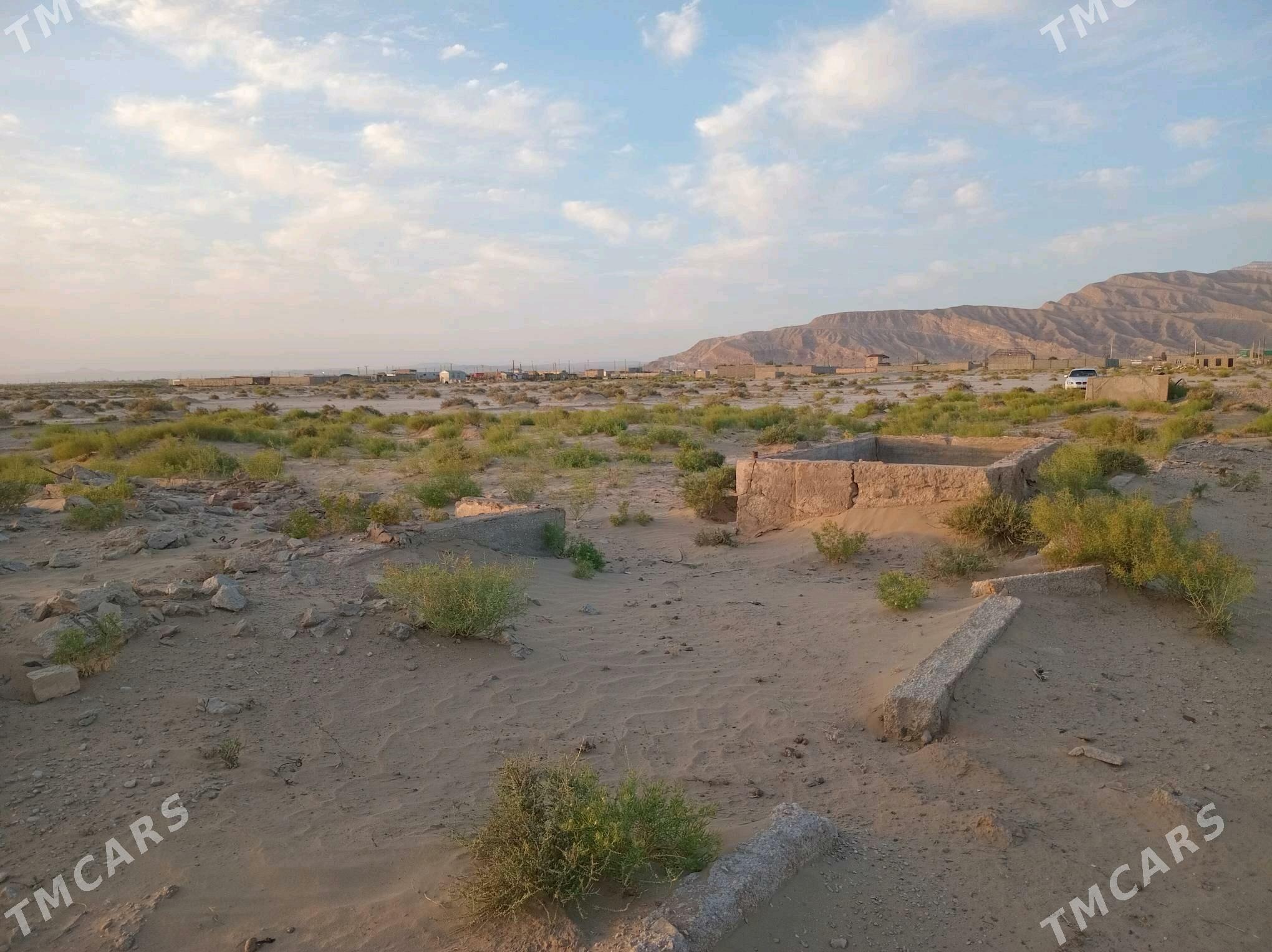 Jamie yer - Balkanabat - img 2