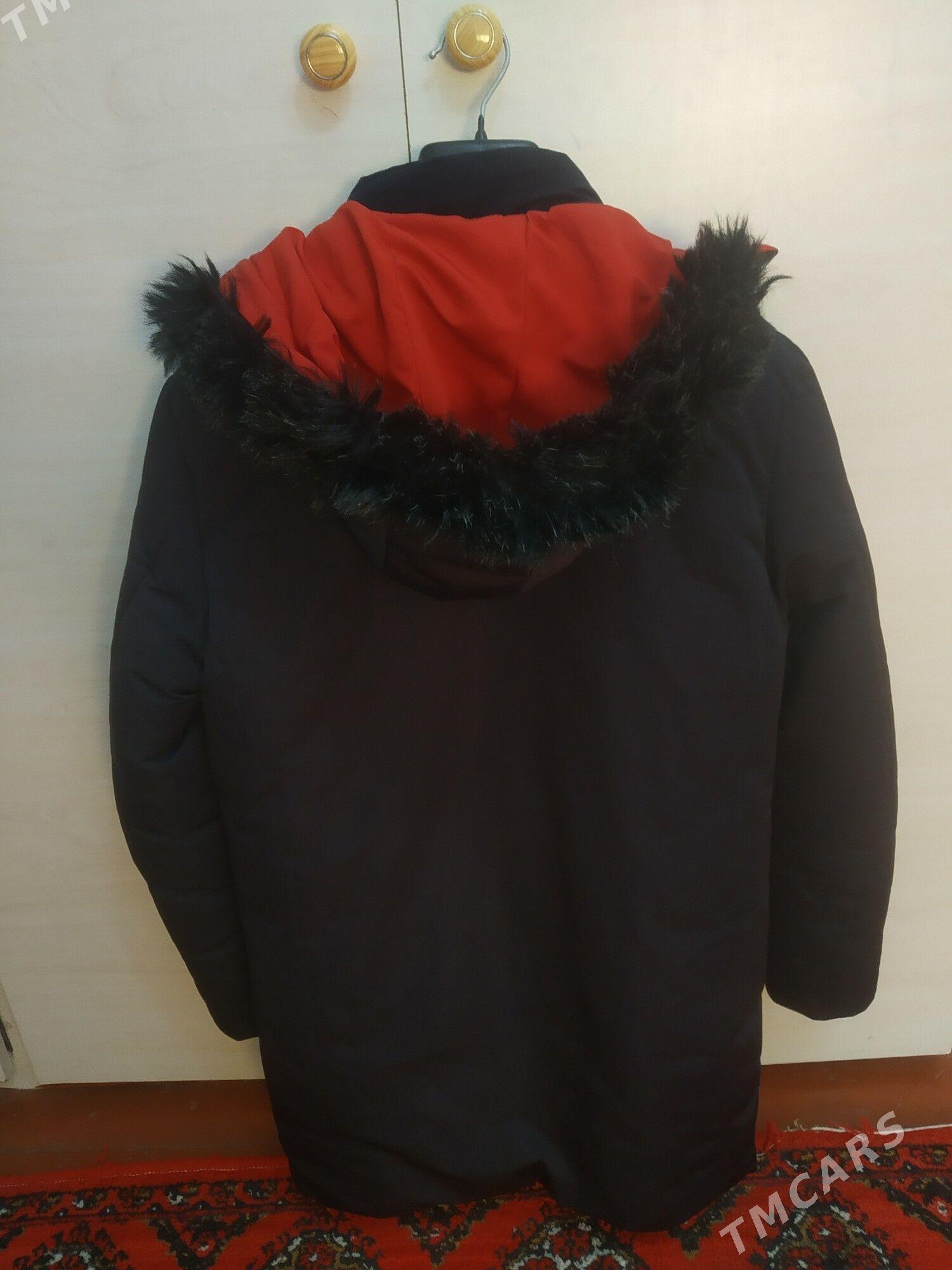 Kurtka - Daşoguz - img 2