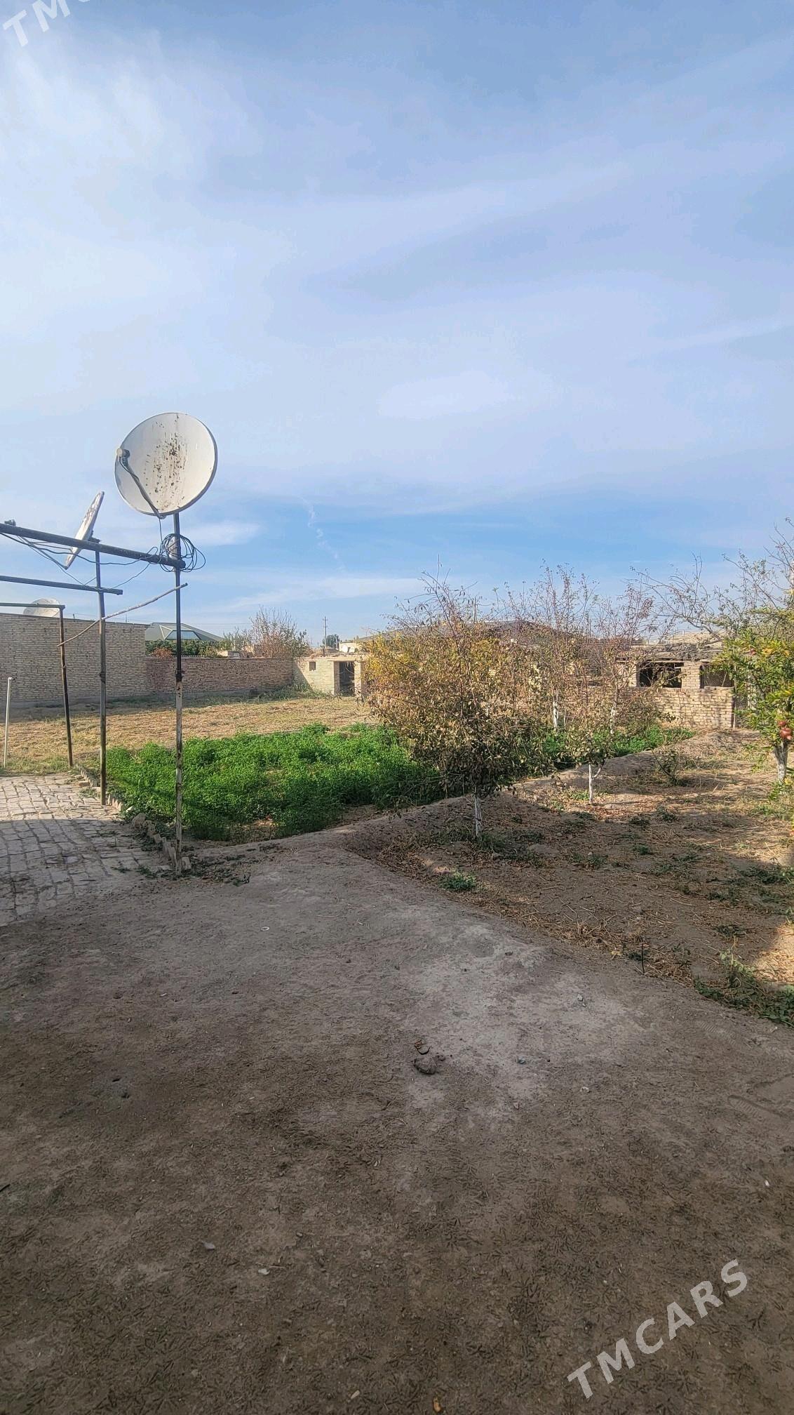 ayraport daca - Türkmenabat - img 4