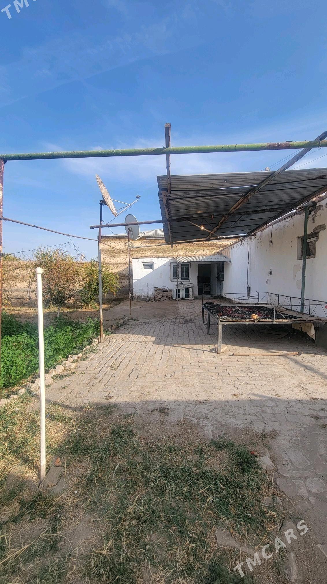 ayraport daca - Türkmenabat - img 7