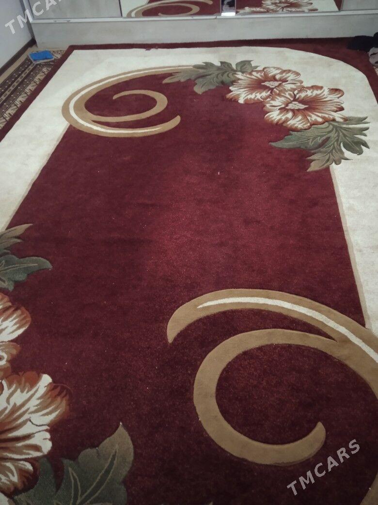 Haly - Gurbansoltan Eje - img 1