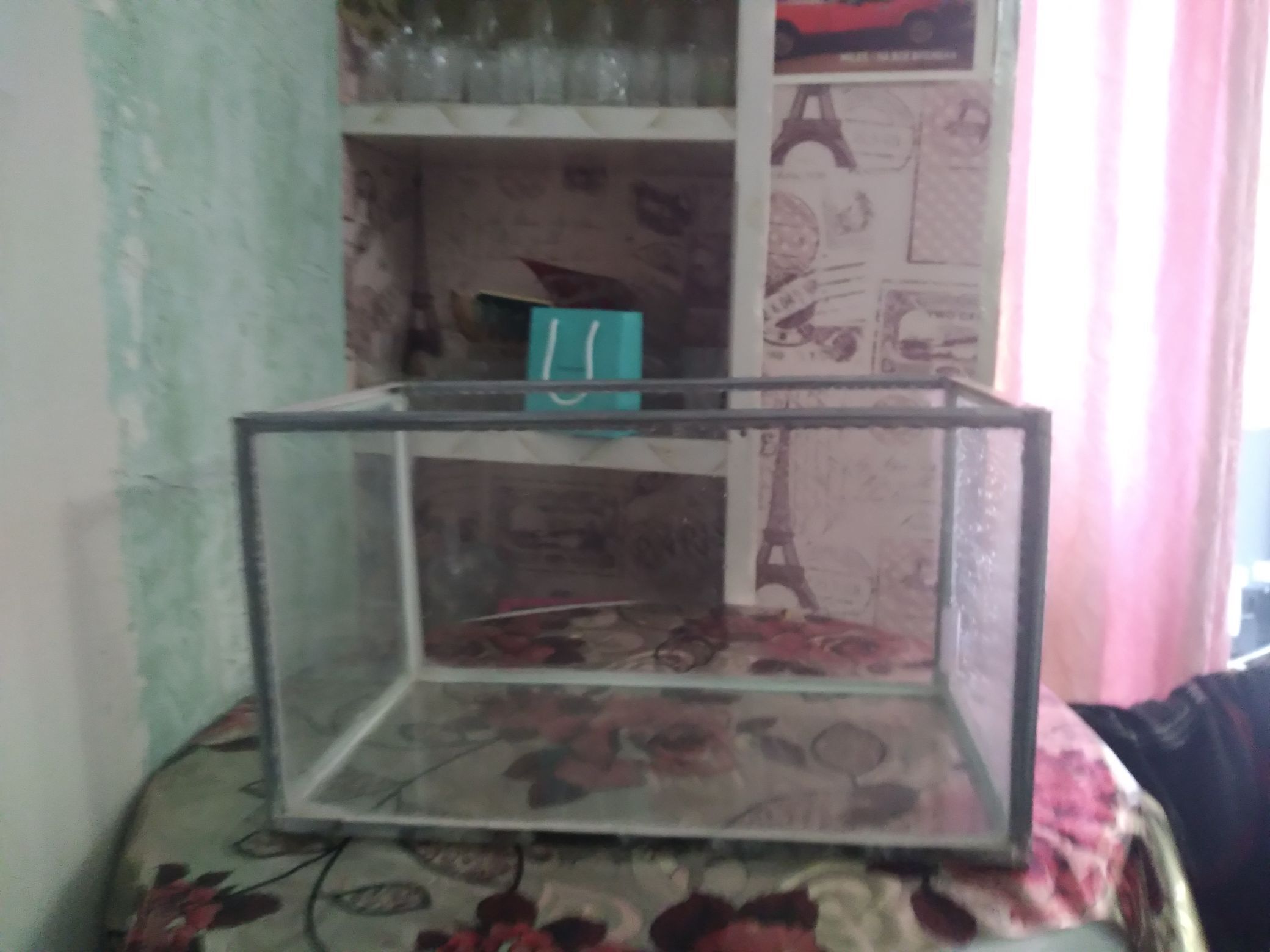 аквариум - Aşgabat - img 1