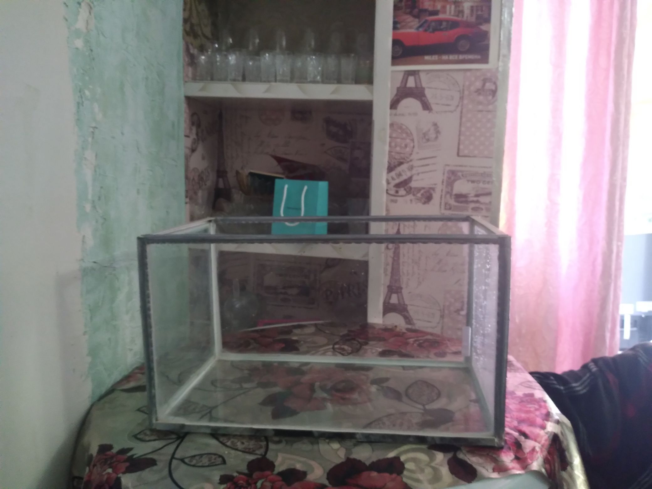 аквариум - Aşgabat - img 2