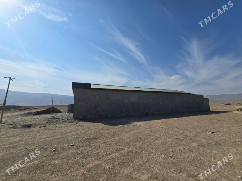 Mellek yer ve jay-Yylysuw yoly - Bäherden - img 4