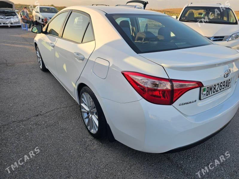Toyota Corolla 2019 - 209 000 TMT - Ашхабад - img 2