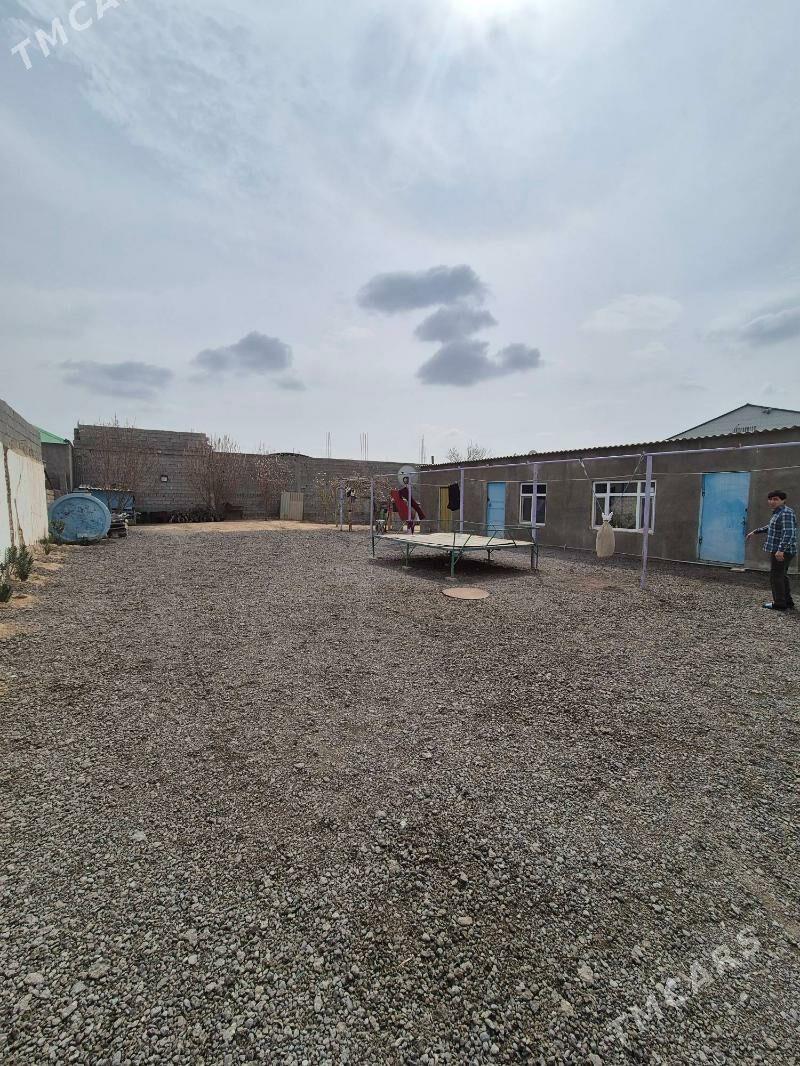 Satlyk plan jay - Aşgabat - img 4