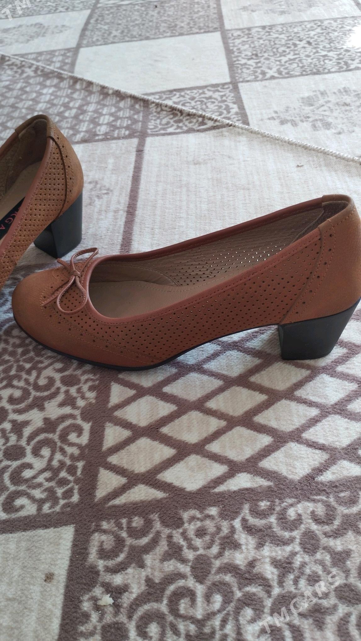 Tergan kowush - Gurtly - img 2