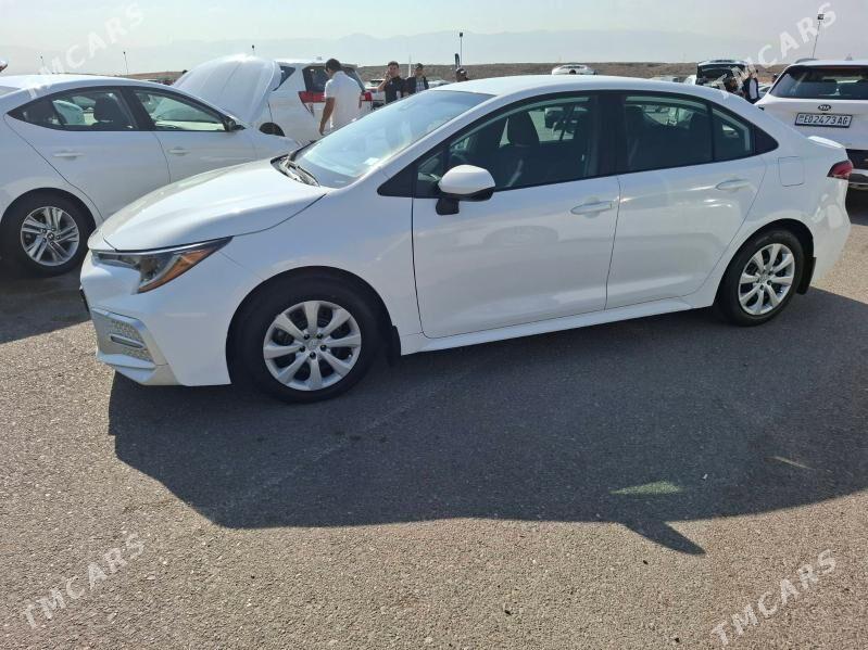 Toyota Corolla 2022 - 240 000 TMT - Herrikgala - img 5