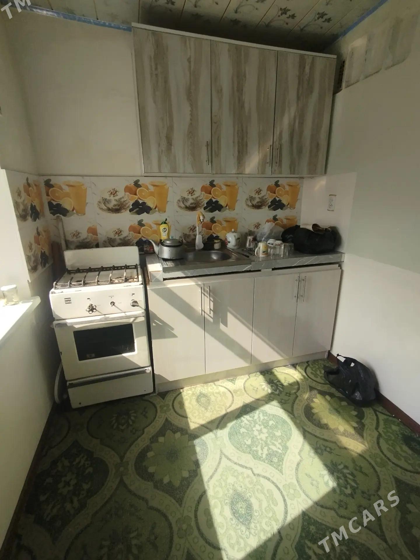 Satlyk jay - Mary - img 5