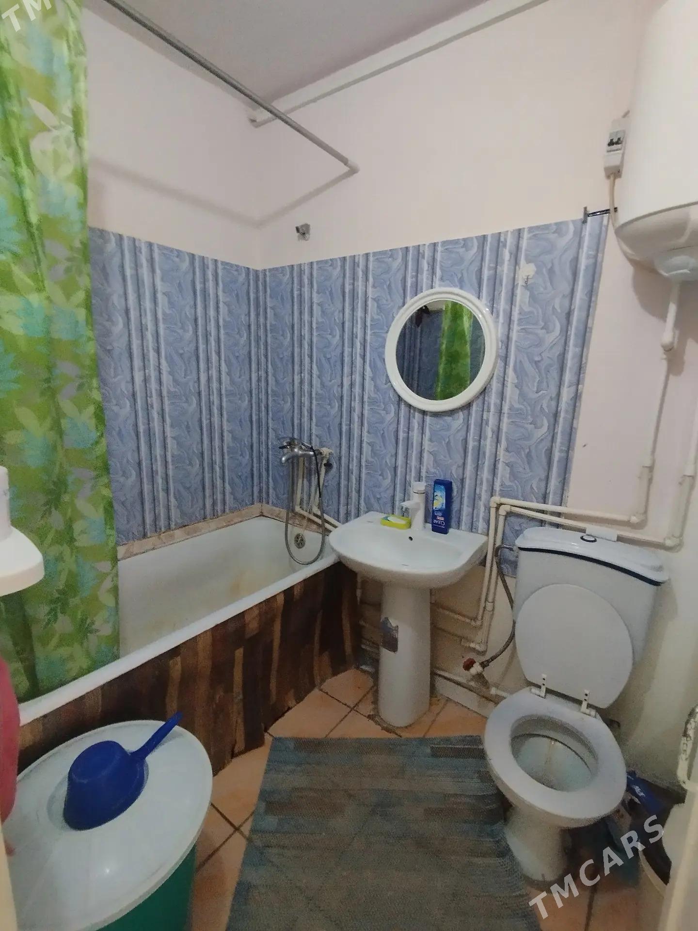 Satlyk jay - Mary - img 4