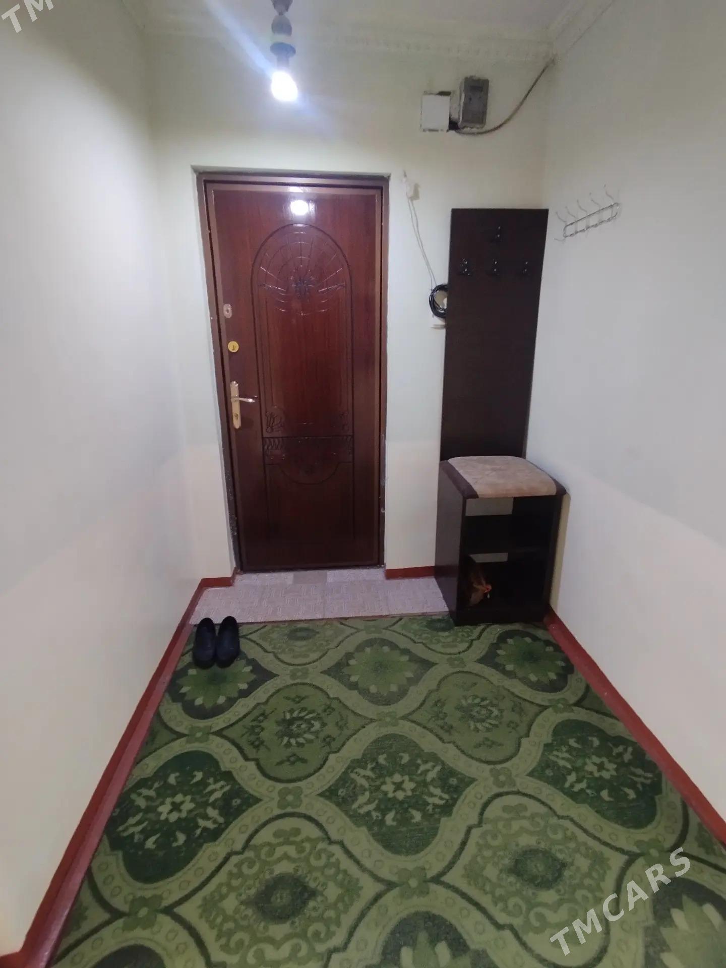 Satlyk jay - Mary - img 6