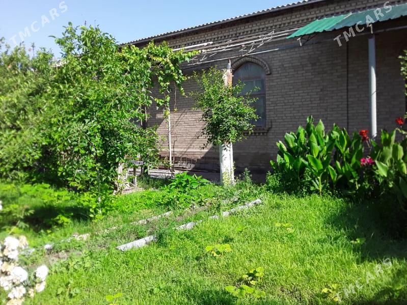 Сатлык Жай ве Магазин офис - Туркменабат - img 1