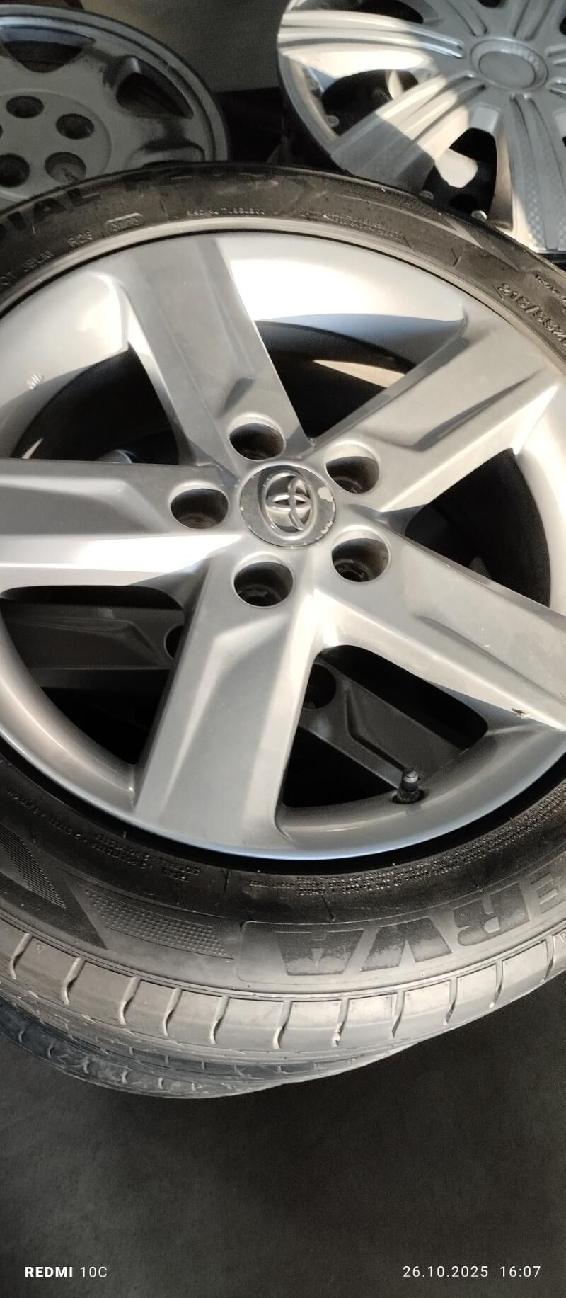 palta disga r17 4 000 TMT - Türkmenabat - img 1