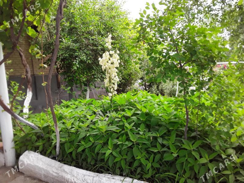 Сатлык Жай ве Магазин офис - Туркменабат - img 4